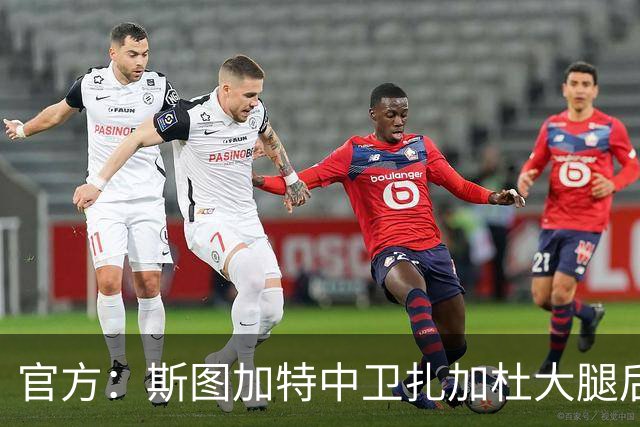 官方：斯图加特中卫扎加杜大腿后侧肌肉受伤，将缺阵数周